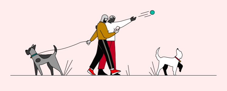 Couple walking dogs and throwing a green ball