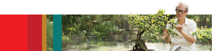 An illustrative data bar stretches across the page. It is segmented into random chunks of data represented by different colors. The segment at the end of the bar contains a photo of a person trimming the branches of a bonsai tree.