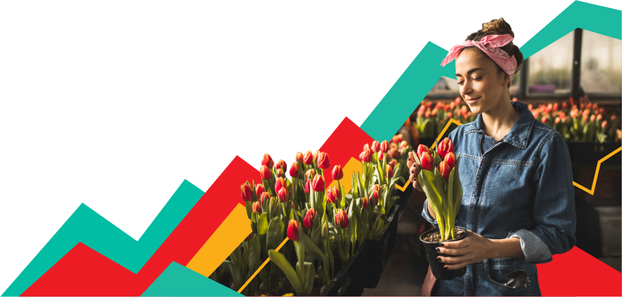 A photo of a person in a flower shop arranging bouquets of tulips is superimposed over the lines of an illustrated, multihued graph. 